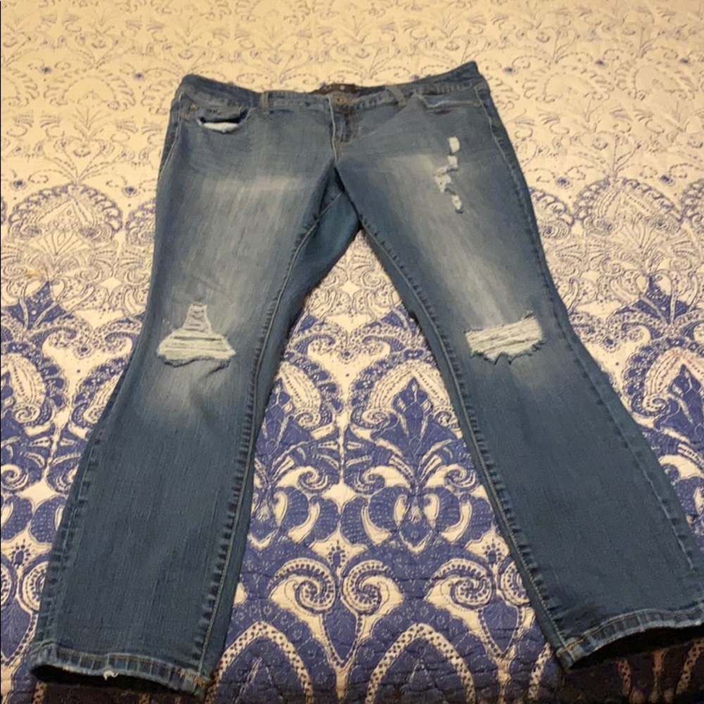 Torrid Jeans